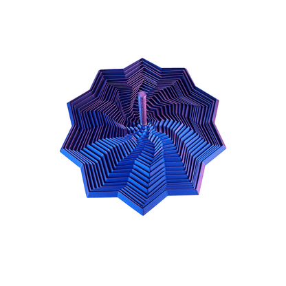 🏆Only $9.99Last Day Promotion!🎁3D Printed Expanded Sensory Fidget Star