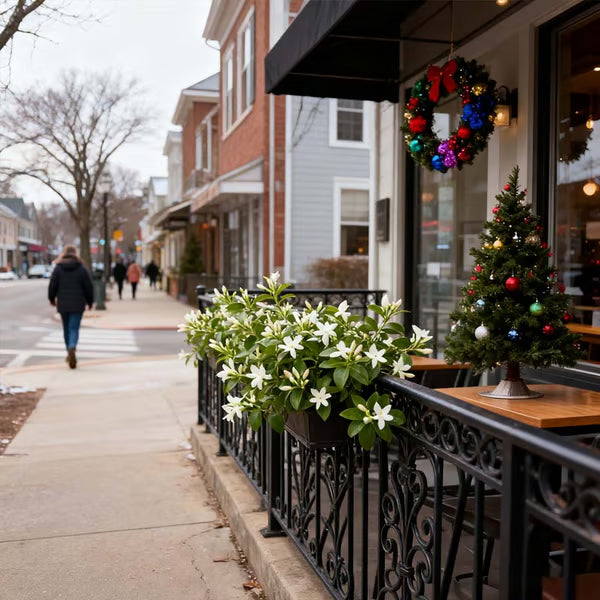 🏆 75K+ SOLD! 🌿❄️ Midnight Perfume Jasmine Seeds – Winter Planting, Perennial Blooms & Fragrant Garden Elegance 🌸