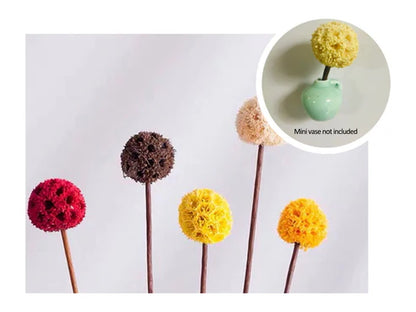 🎁Last Day Sale 49% OFF🌸 Mini Ceramics Vase Fridge Magnet