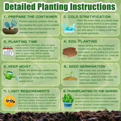 🔥Premium Rare Hosta Seeds🌿Shade-Tolerant Plant