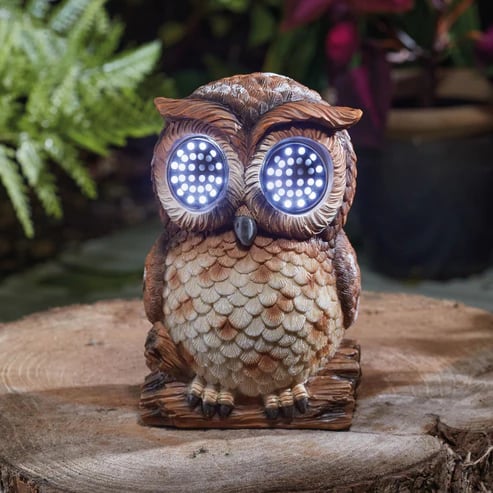 🐝Firefly Solar Light Co Animated Eyes Solar Light 💡